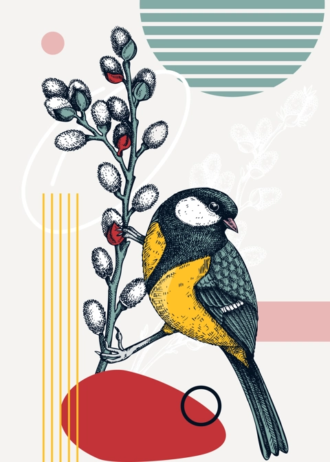 Collage-style bird card. Sketched great tit  trendy poster. Creative designs with bird sketch, botanical illustrations, geometric shapes, and abstract elements for nature print, wall art, packaging. 